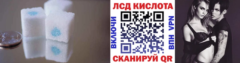 купить наркотики сайты  Вязьма  Лсд 25 экстази ecstasy 